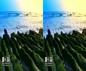 3D Video HDclub Laomei Green Reef