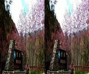 3D Video HDclub Wuling Farm In Spring