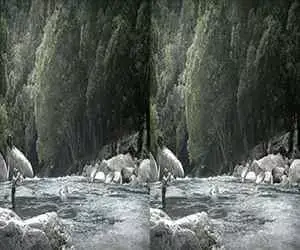 3D Video LG Summer Vacation