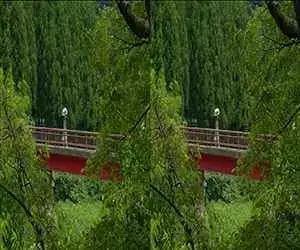 3D Video Panasonic Furusato