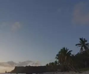 4K Sony Samples - Whale in Tonga