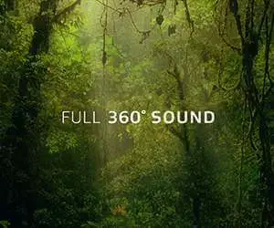 Dolby Atmos -Leaf-