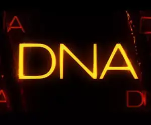 Distributor HD -DNA Films-