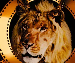 Distributor HD -Metro Goldwyn Mayer 2012-