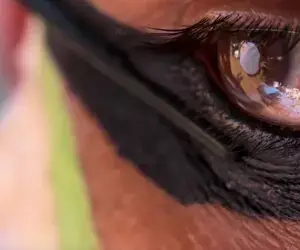 4K Dolby Vision video test | On-Off, Palette, People and Sails