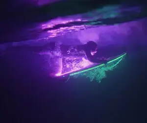 4K Philips Samples | Beach Life, Lightwave and Equilibrium