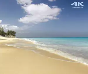 4K 60fps -Sony Bahamas-